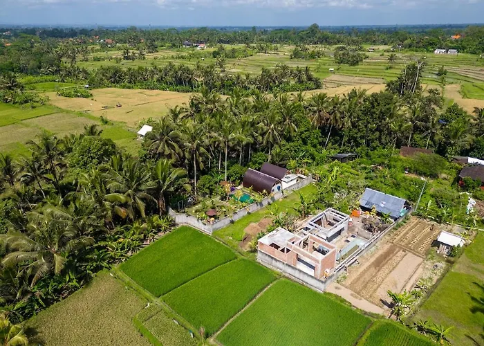 Lumbung Sari Wooden Private With Greenery View Ubud
