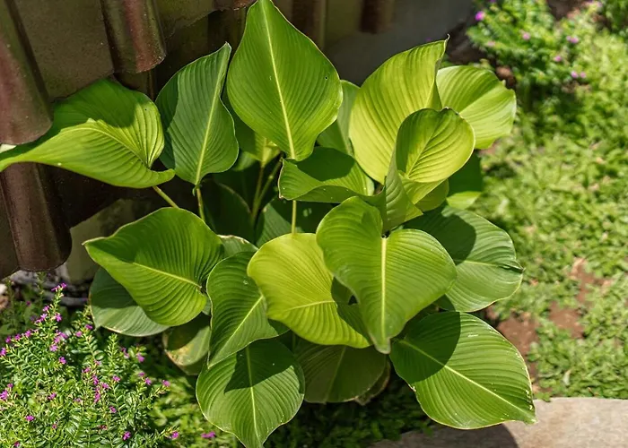 Lumbung Sari Wooden Private With Greenery View Villa Ubud